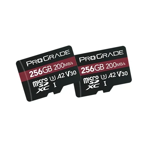 כרטיס זיכרון ProGrade 256GB microSDXC V30 UHS-I