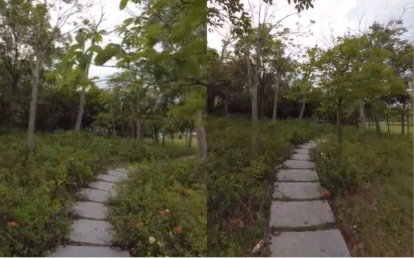 מצלמה לסיורים וירטואליים VR Insta360 PRO II