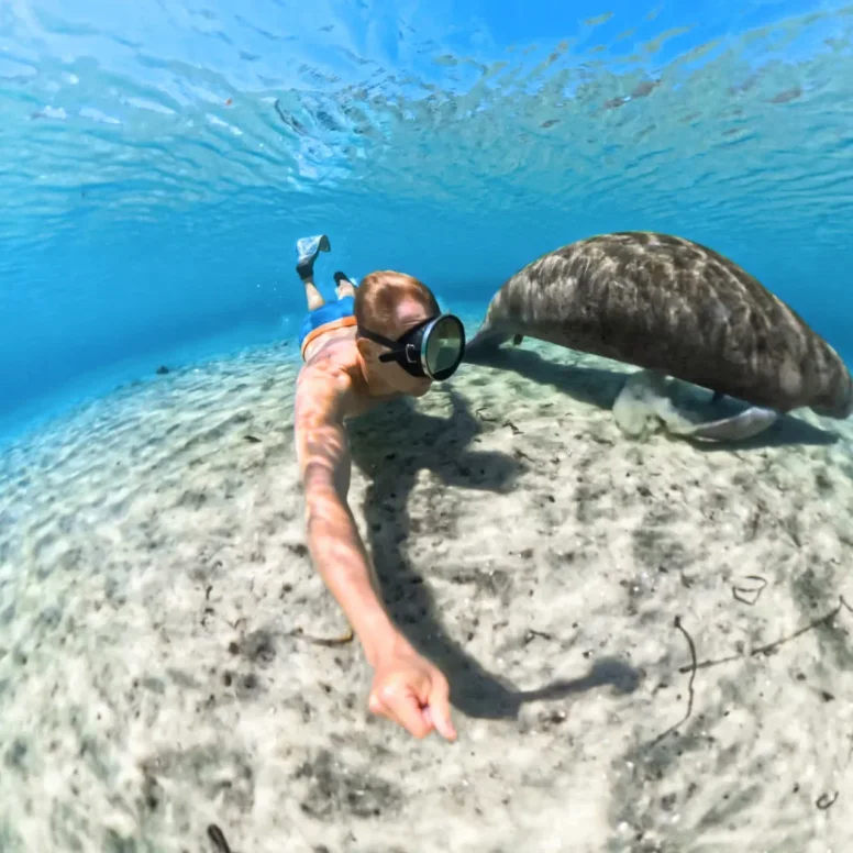 קייס צלילה Insta360 X5 Invisible Dive Case