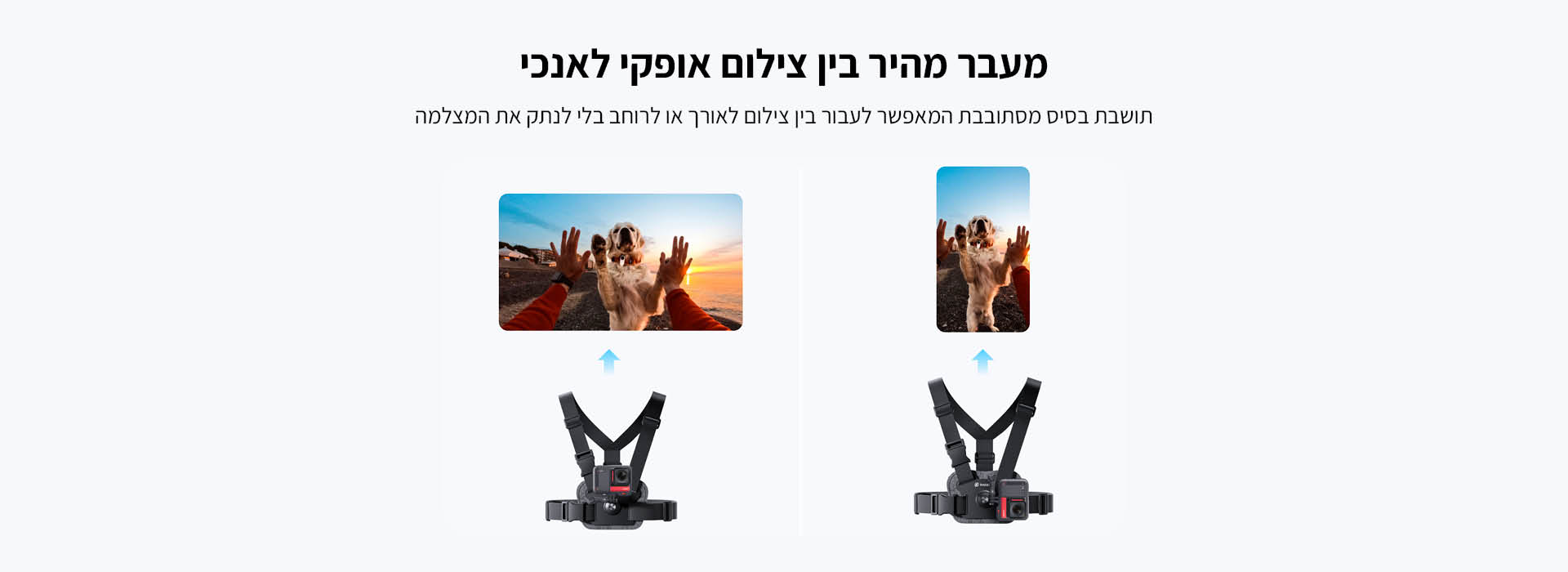 רצועת חזה Chest Strap